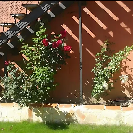 El Mirador De Campumedra * Vadillo