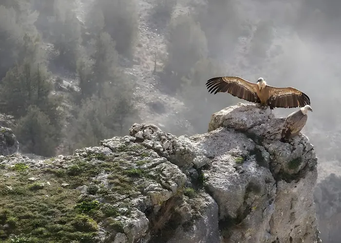 El Mirador De Campumedra *